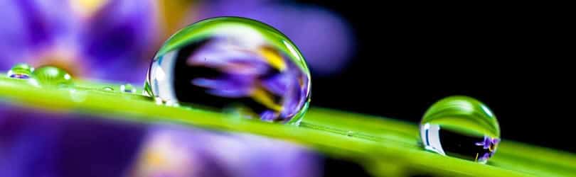 wassertropfen-drop-of-water