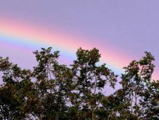 Regenbogen