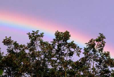 Regenbogen
