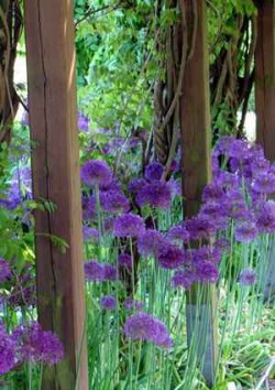 Denken und Fühlen 1Botan Garten 5 2012