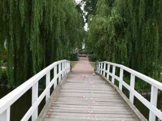 Brücke im Park