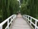 Brücke im Park