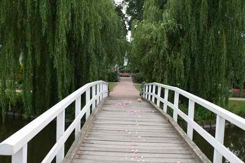 Brücke im Park