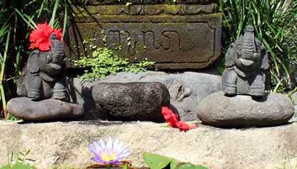 Meditation