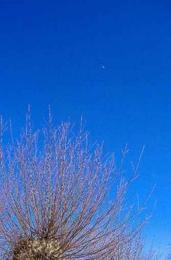 Sorgen oder im JETZT leben blauer himmel mit baum und ästen c heike schonert