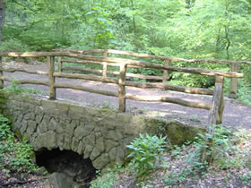 Brücke im Wald