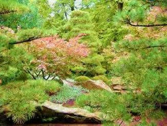 botanischer Garten