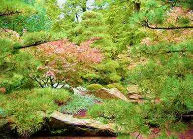 botanischer Garten