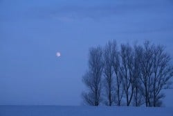 winter