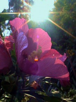 Herbstmotiv als Bild für Wandel und innere Bewegung