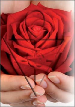 Mystische Erfahrungen AMORC  Rose  Kreuz