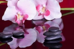 So hört dein Leid endlich auf Wellness