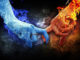 Feuer und Wasser