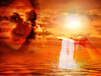 Seele im Meer