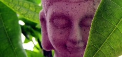 Augen geschlossen