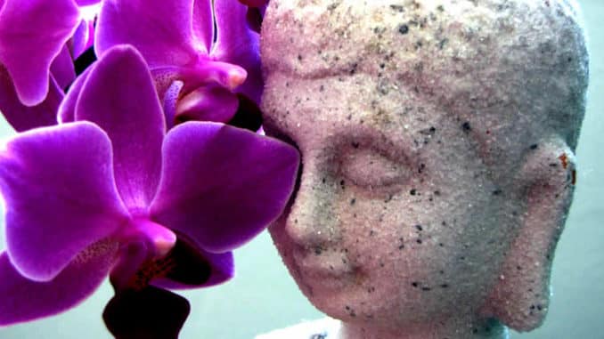 Buddha mit Orchidee