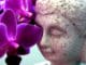 Buddha mit Orchidee