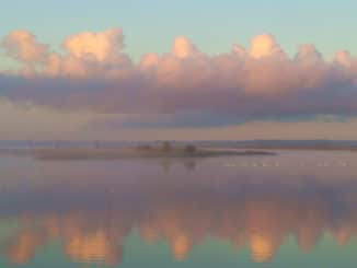 Morgennebel