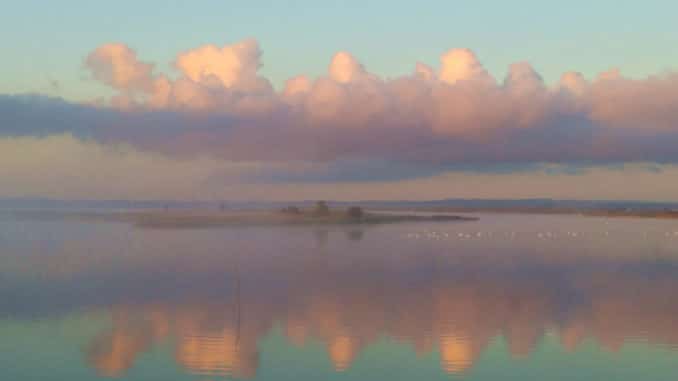 Morgennebel