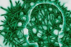 Glück ist Übungssache neuronale Pfade