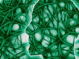 neuronale Pfade
