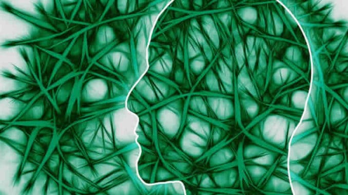 neuronale Pfade