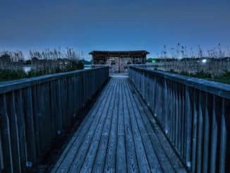Bretter Steg in der Nacht