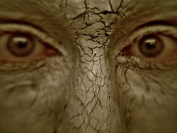 Heilerde Gesicht Maske braun Schlamm
