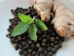 Ayurveda Kochkurs, Ingwer, ayurvedisch