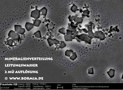 Lebendiges Wasser Paradigmenwechsel Bild 2