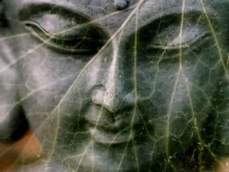 Blatt-doppelt-buddha
