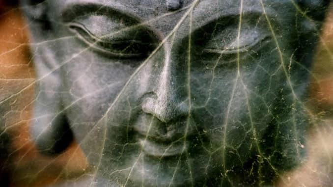 Blatt-doppelt-buddha