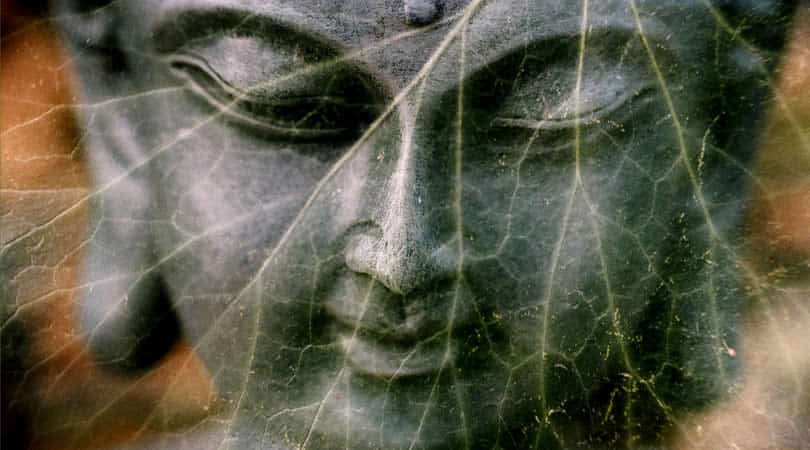 Buddha-Gesicht mit überlagerter Blattstruktur – Symbolbild zur Sinnkrise