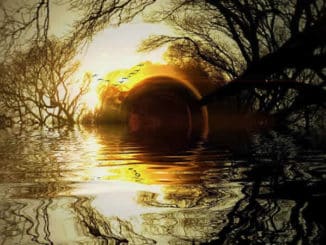 Wasser-Sonne-mystisch-water