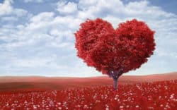 Engel Jeliel-herz-Baum-heart-shape