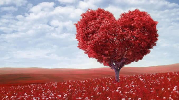 herz-Baum-heart-shape