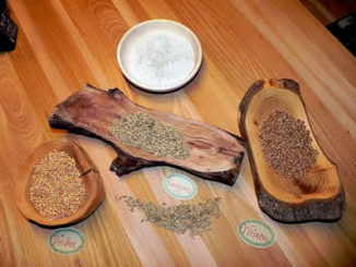 Getreide-dinkel-roggen-cereals