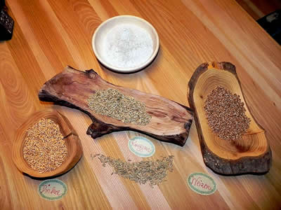 Getreide-dinkel-roggen-cereals