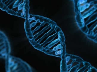 dns-strang-gene-dna
