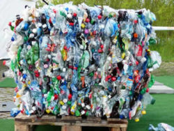 Plastik-Muell-plastic-bottles