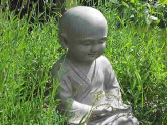 kindlich-wiese-buddha