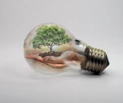 10 Tipps gluehbirne baum hand bulb