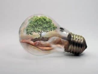 gluehbirne-baum-hand-bulb