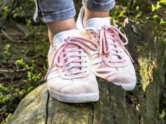 schuhe-baumstamm-gleichgewicht-shoes