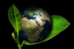 erde-planet-schutz-blaetter-earth