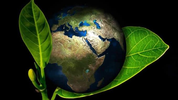 erde-planet-schutz-blaetter-earth