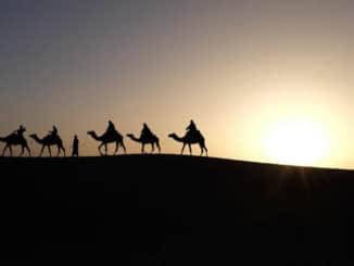 Kamele-Wueste-Abend-camels