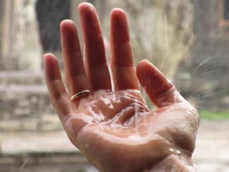 wasser-reinigung-hand