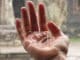 wasser-reinigung-hand