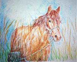 carl-franz-Saltmarshe-Spirit-Horse